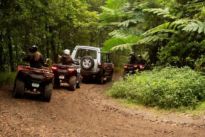 Madeira Private Off-road Quad Bike Experience - Forests, fields, hills, and muddy tracks