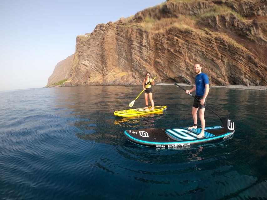 Madeira: Private Paddleboard & Snorkel - Snorkeling and Madeira sea life