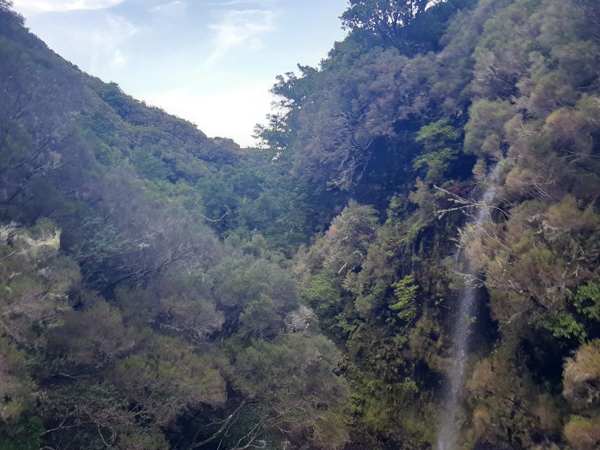 Madeira: Private Walking Tour of Levada das 25 Fontes PR6 - Starting in Rabaçal at mountain altitude