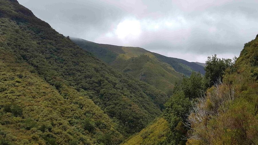 Madeira: Private Walking Tour of Levada das 25 Fontes PR6 - Is $117 a fair price?