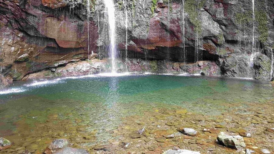 Madeira: Private Walking Tour of Levada das 25 Fontes PR6 - Who should book this Madeira walk?