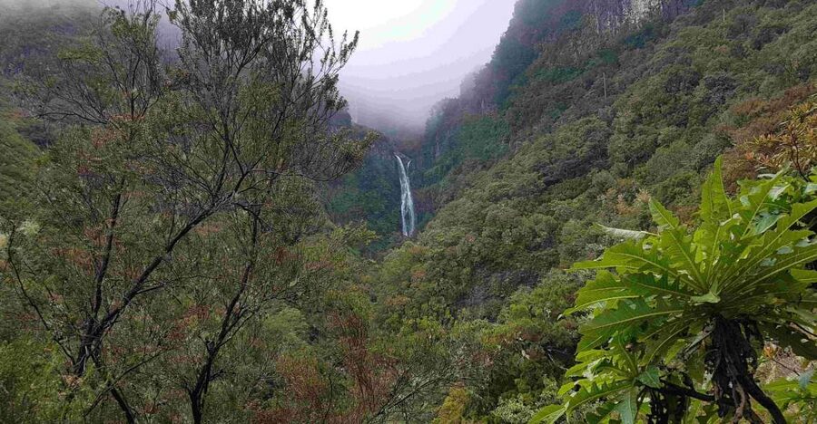 Madeira: Private Walking Tour of Levada das 25 Fontes PR6 - Booking and cancellation details to keep in mind