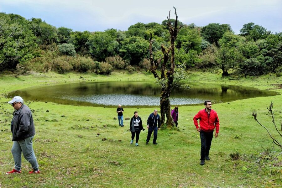 Madeira : Private wine experience by 4WD - Waterfalls, Chão da Ribeira, and Laurissilva