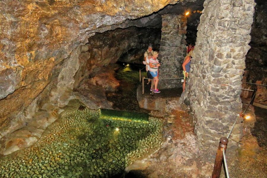 Madeira : Private wine experience by 4WD - Price, group size, and the real value