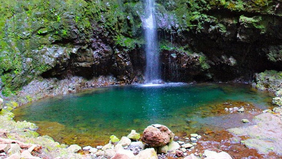 Madeira: Queimadas, Caldeirão Verde and Levada Walk - Key points to know before you go