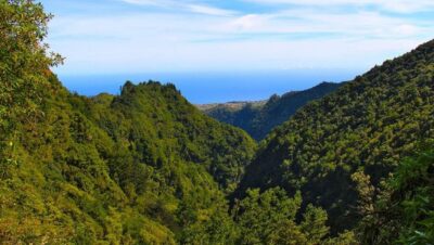 Queimadas, Caldeirão Verde and Levada Walk