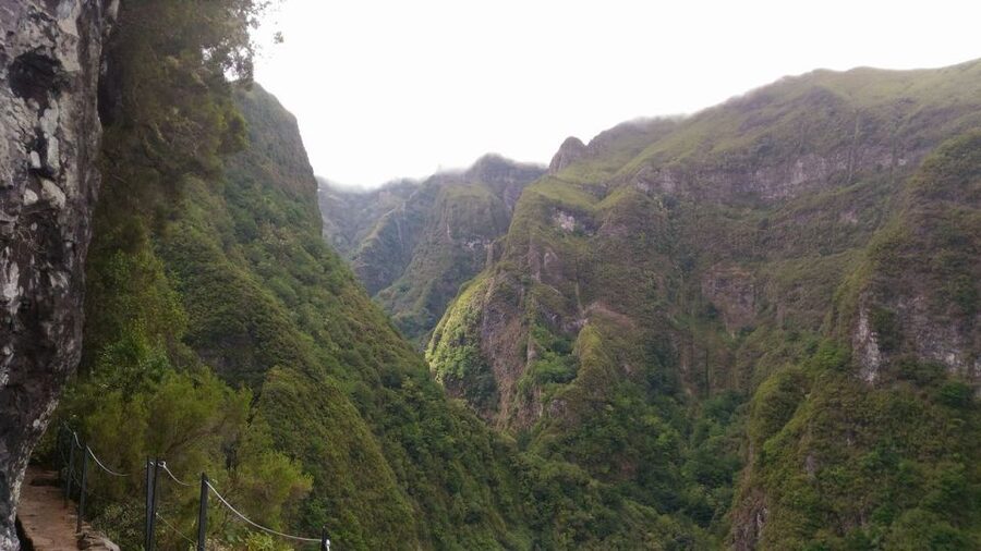 Madeira: Queimadas, Caldeirão Verde and Levada Walk - What $50 covers, and what it leaves out