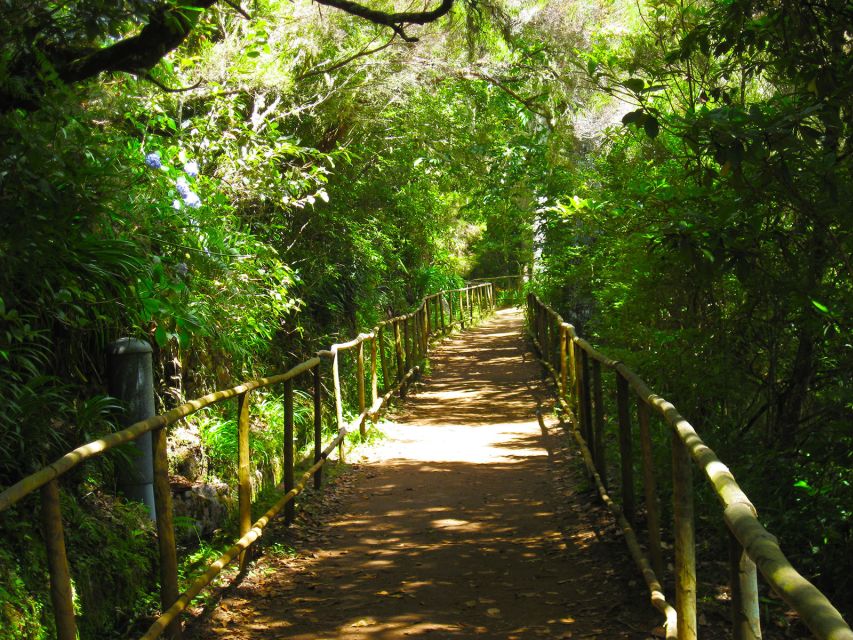 Madeira: Queimadas, Caldeirão Verde and Levada Walk - Weather can change the whole experience