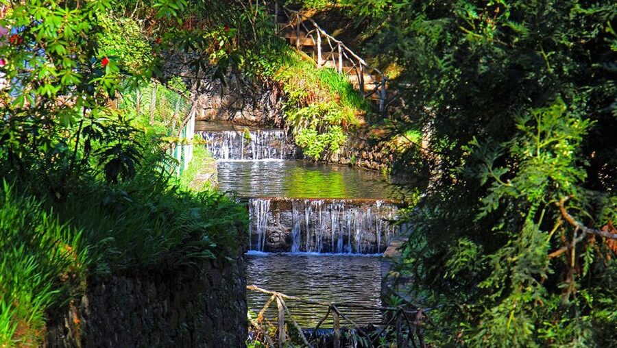 Madeira: Queimadas, Caldeirão Verde and Levada Walk - Who will enjoy this levada walk most