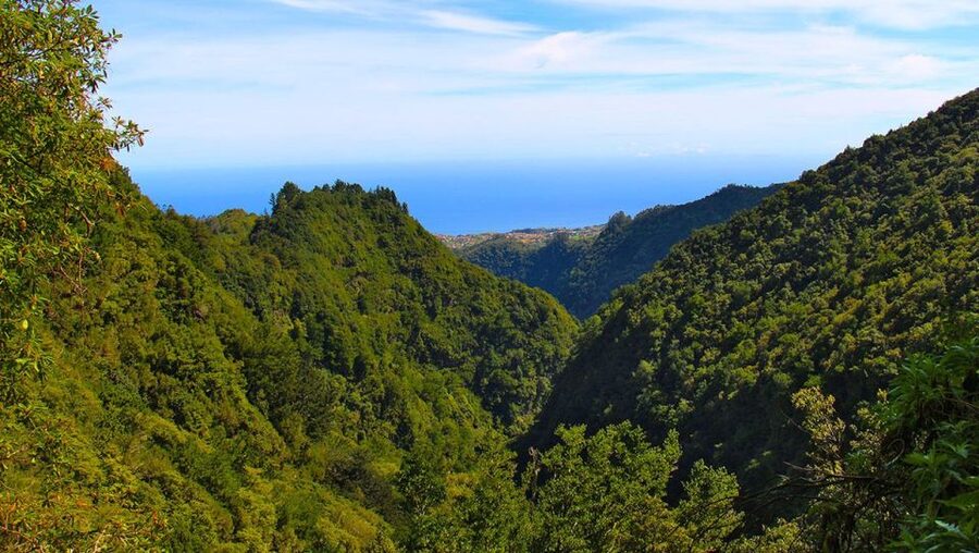 Madeira: Queimadas, Caldeirão Verde and Levada Walk - Waterfalls, tunnels, and the levada path