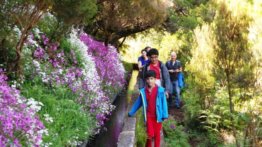 Madeira: Rabaçal 25 Fountains Levada Walk & Cabo Girão - Key points at a glance