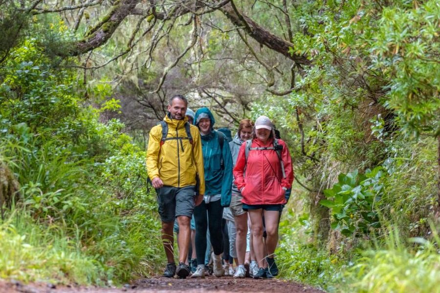 Madeira: Rabaçal 25 Fountains Levada Walk & Cabo Girão - Who should book this outing