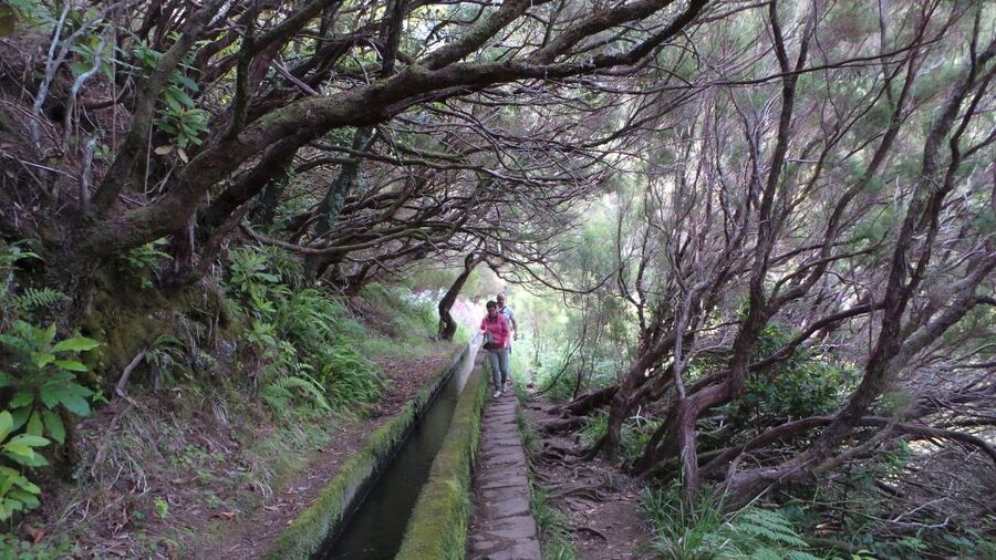 Madeira: Rabaçal 25 Fountains Levada Walk & Cabo Girão - What to bring for the forest and tunnel