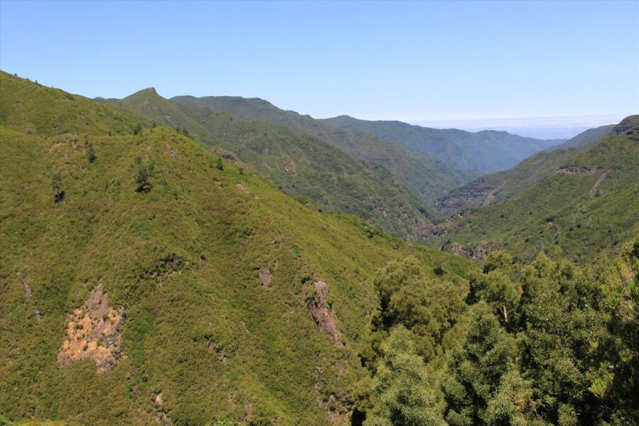 Madeira: Rabaçal, Risco and 25 Fontes Guided Hiking Tour - Down to Levada Nova do Rabaçal and 25 Fontes