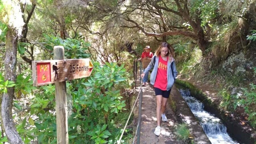 Madeira: Rabaçal, Risco and 25 Fontes Guided Hiking Tour - Pickup from Funchal, Caniço, and the south coast