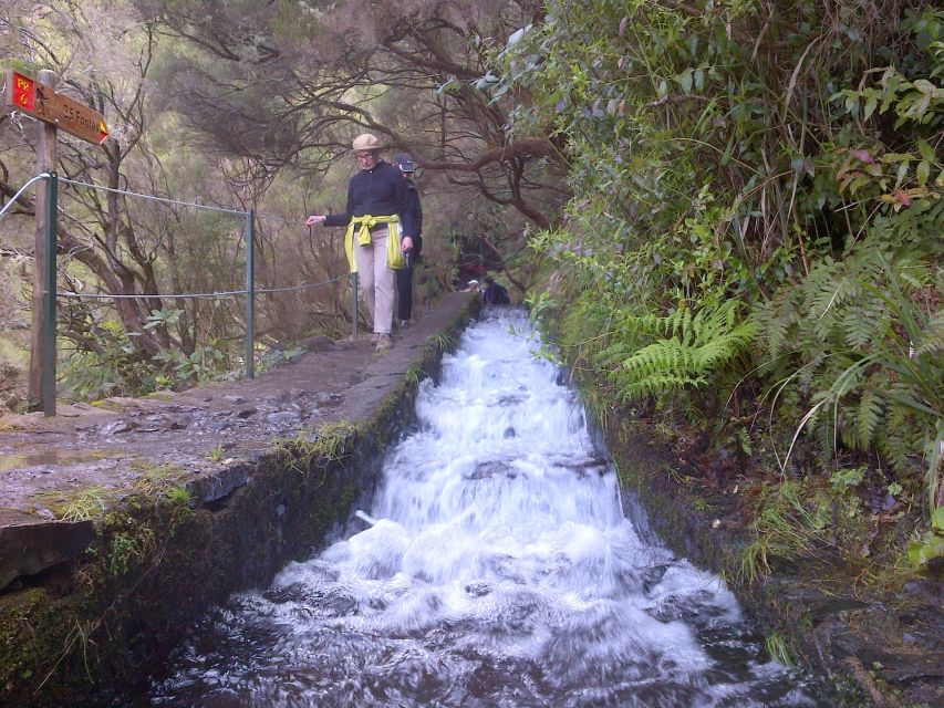 Madeira: Rabaçal Valleys 3-Hour Guided Walk - Why Rabaçal is such a good choice for a Madeira walk