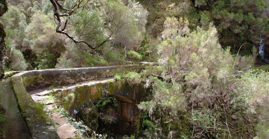 Madeira: Rabaçal Valleys 3-Hour Guided Walk - Following the levadas through Rabaçal
