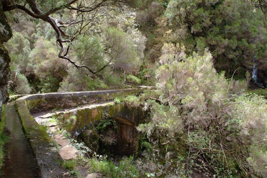 Madeira: Rabaçal Valleys 3-Hour Guided Walk - Waterfalls, springs, and the changing scenery