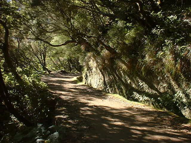 Madeira: Rabaçal Valleys 3-Hour Guided Walk - How much time should you set aside?