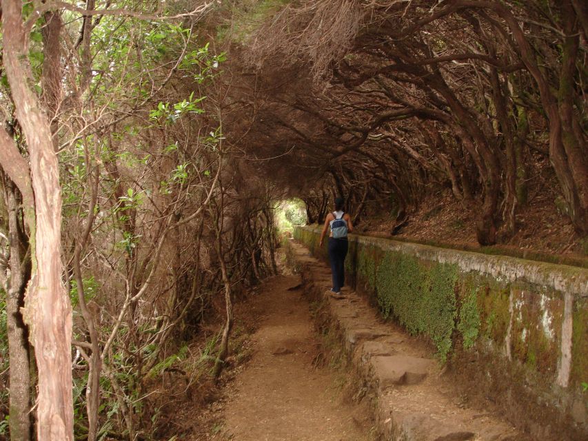 Madeira: Rabaçal Valleys 3-Hour Guided Walk - Is $48 a fair price?