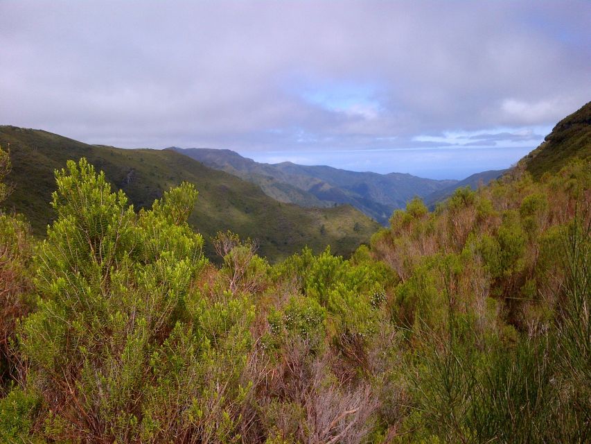Madeira: Rabaçal Valleys 3-Hour Guided Walk - From hotel pickup to the mountain trail