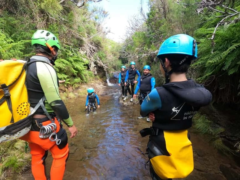Madeira : Ribeira das Cales Canyoning (Level 1) - Key points to know before you book