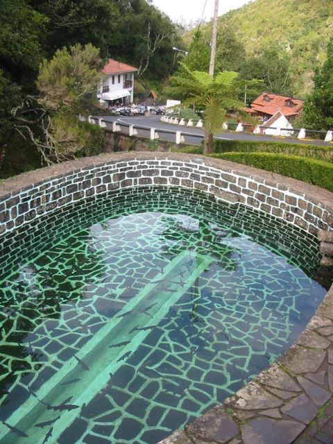 Madeira: Ribeiro Frio to Portela 4-Hour Guided Walk - Key points to know before you book