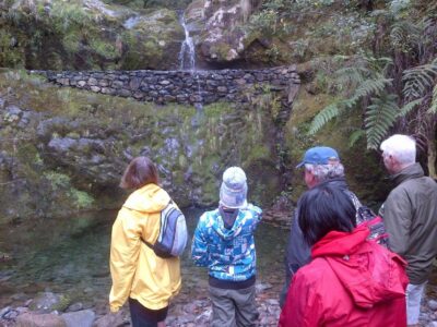 Ribeiro Frio to Portela 4-Hour Guided Walk