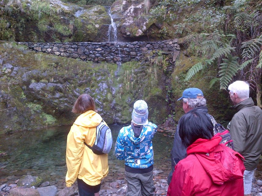Madeira: Ribeiro Frio to Portela 4-Hour Guided Walk - What the Ribeiro Frio to Portela walk is really like