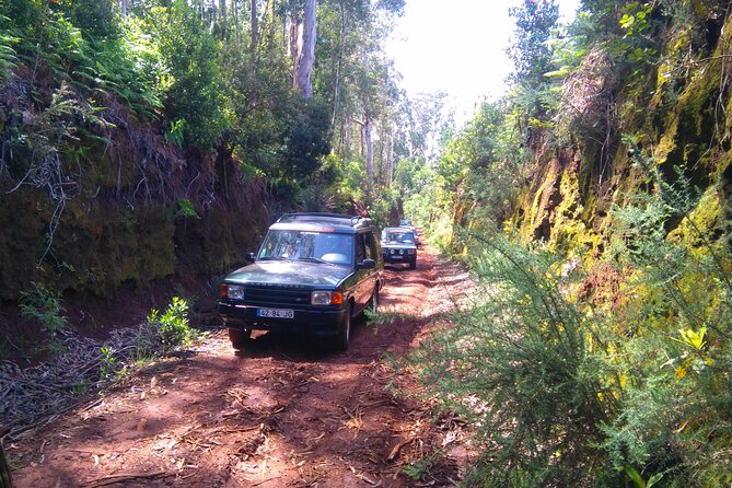 Madeira Safari - East of the island - Why this 4x4 route makes sense in Madeira
