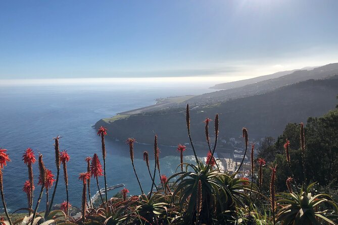 Madeira Safari - East of the island - Santana and Madeira’s traditional countryside