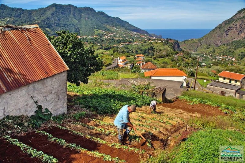 Madeira: Santana Jeep Safari and Balções Levada Walk - What the full eight-hour day feels like