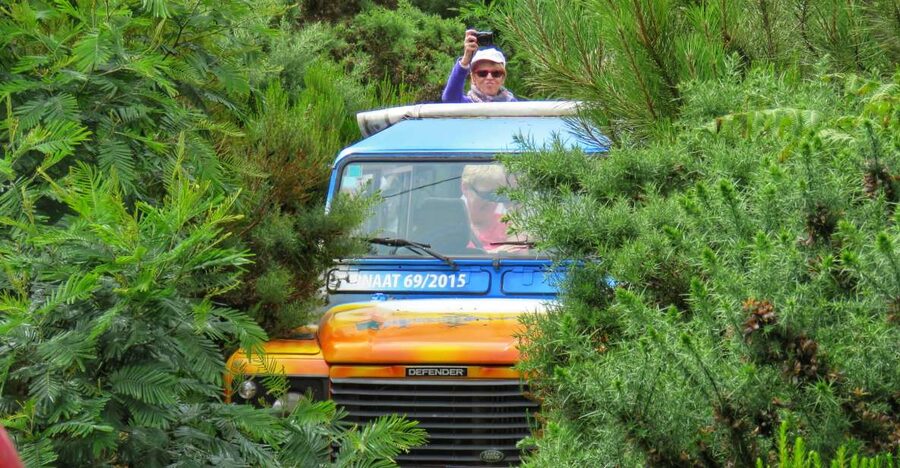 Madeira : Santo de Serra Local Farmers' Market half day trip - From Santa Cruz to Morena on steep island roads