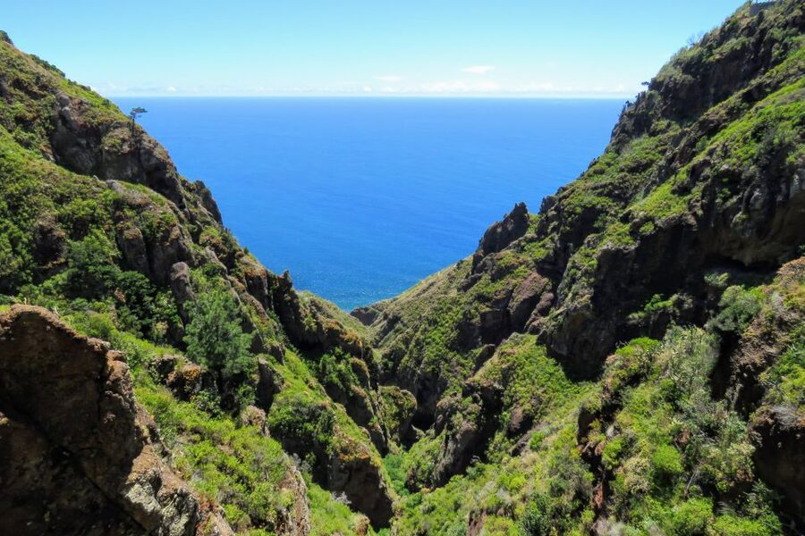 Madeira : Santo de Serra Local Farmers' Market half day trip - Is $49 a fair price for three and a half hours?