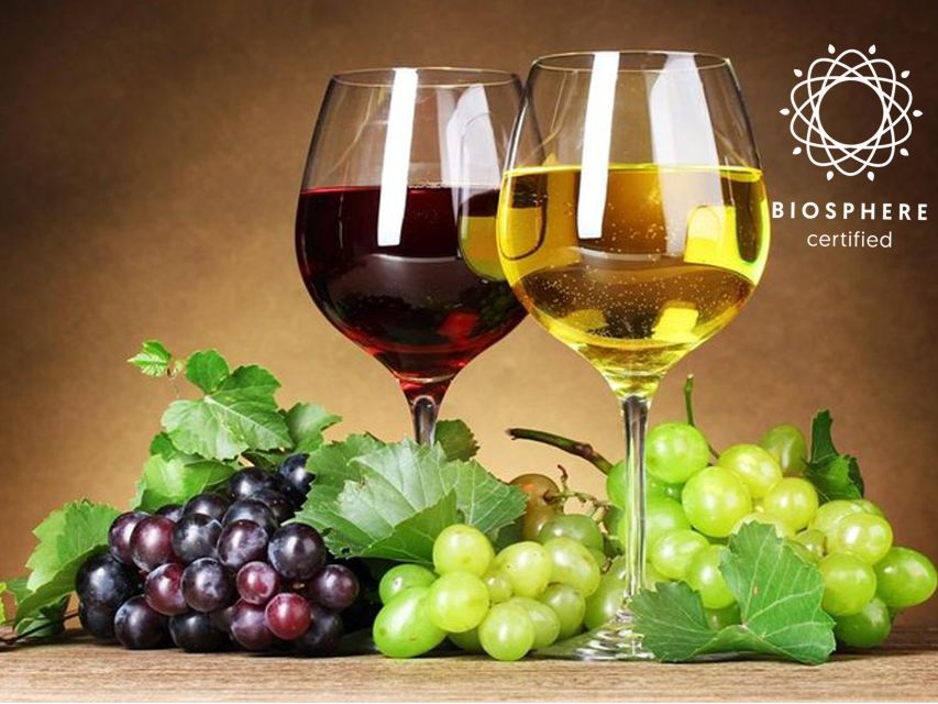 Madeira: Signature Wine Tasting, Skywalk & Nature Expedition - Who should book this day