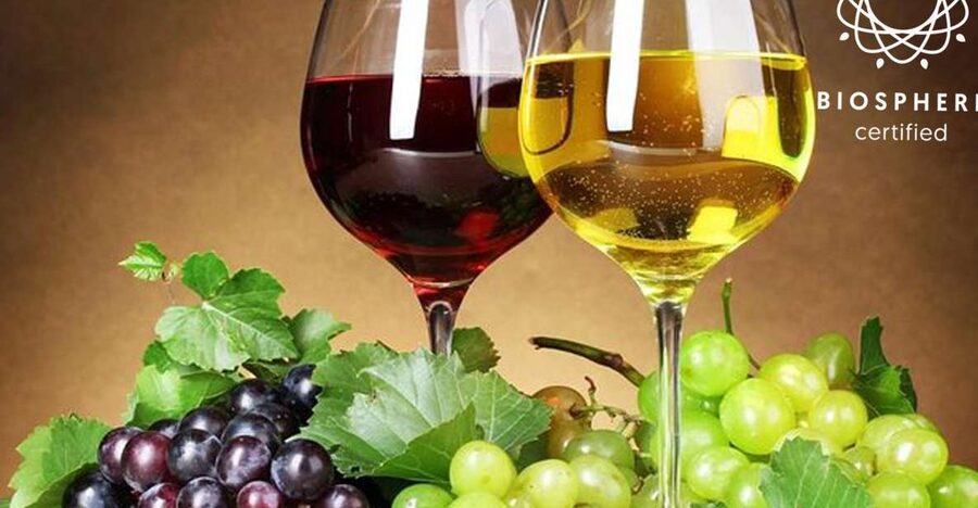 Madeira: Signature Wine Tasting, Skywalk & Nature Expedition - The Land Rover Defender off-road section