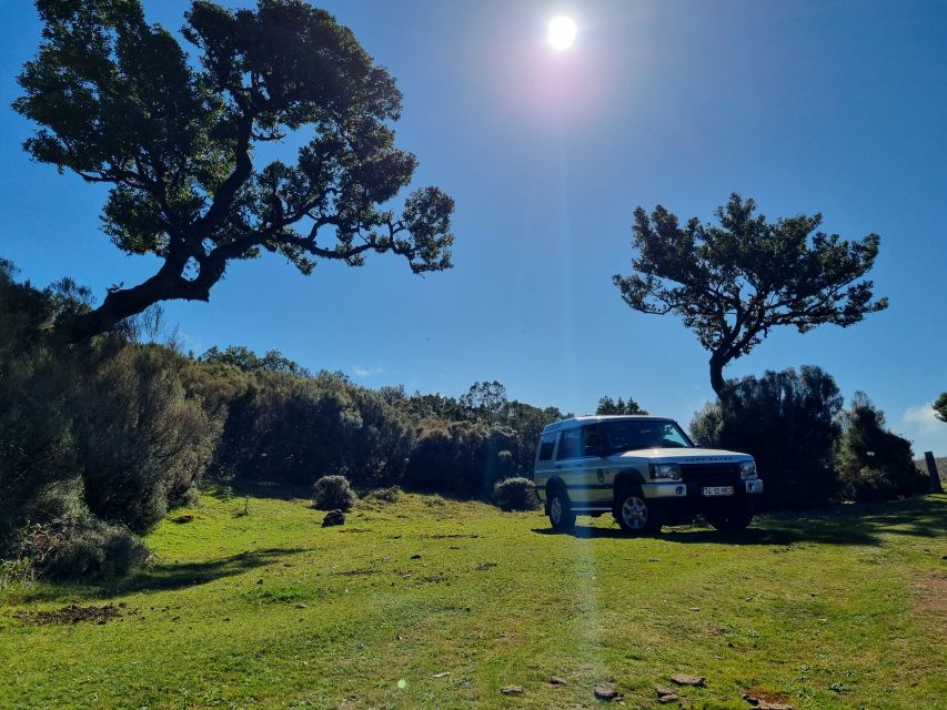 Madeira : SkyWalk, Fanal, Natural Pools 4x4 Jeep Tour - Fanal gives you time among old trees