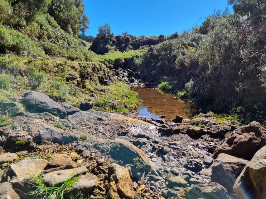 Madeira : SkyWalk, Fanal, Natural Pools 4x4 Jeep Tour - Ribeira da Janela brings you back to the coast