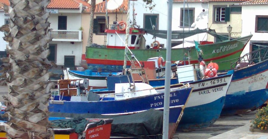 Madeira South West: Half Day Private Tour - What the private format changes