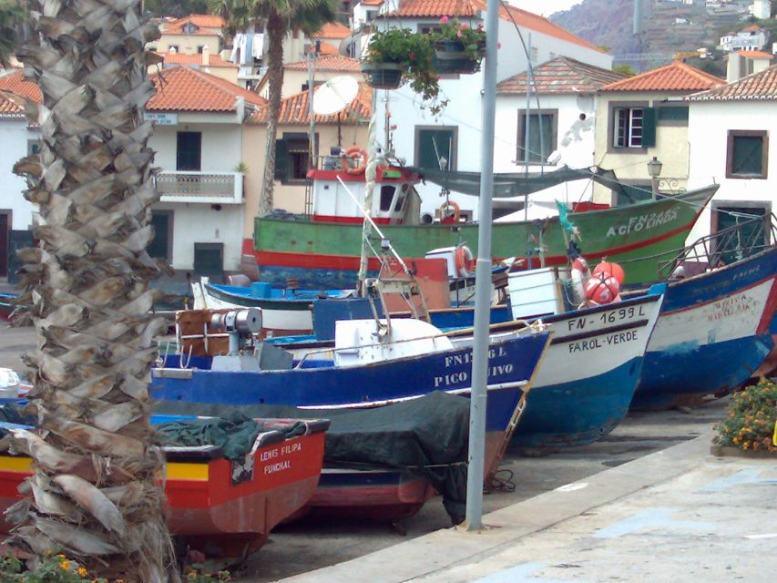 Madeira South West: Half Day Private Tour - Guides, driving, and communication