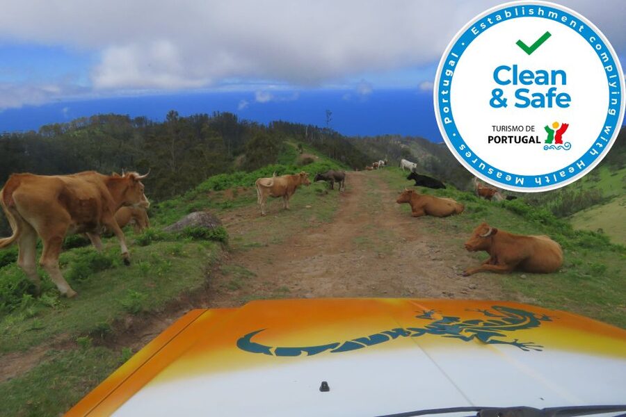 Madeira : Southwest coast, Run & Anjo´s Waterfall 4x4 Tour - Calheta, Prazeres, and the local distillery