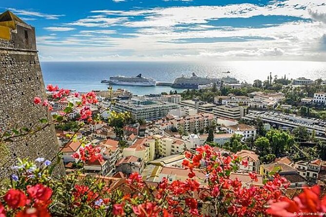 Madeira Special City Tuk Tuk Tour and Viewpoints by MadTuk - What the $66.09 price really covers