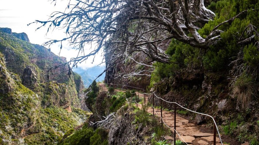 Madeira Stairway to Heaven to Larano Hike Mountain to Sea - Weather, safety, and what to pack