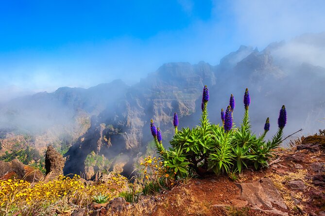 Madeira Stairway to Heaven to Larano Hike Mountain to Sea - Pico do Areeiro and the famous Stairway to Heaven