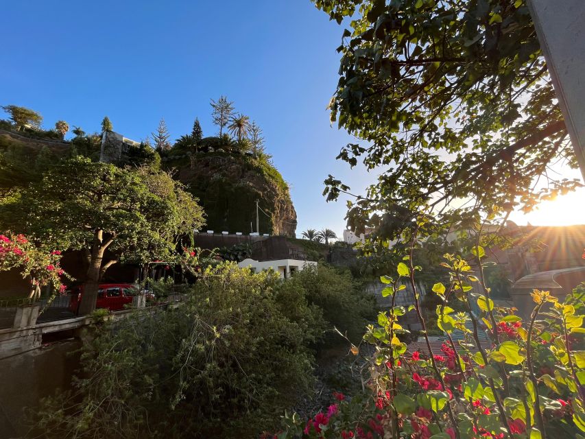 Madeira: Sunny South Side - Cabo Girão, Waterfalls, C. Lobos - Key points to know before booking