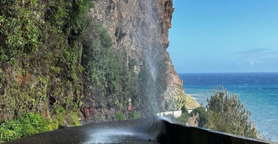 Madeira: Sunny South Side - Cabo Girão, Waterfalls, C. Lobos - A small van, a full south-coast day