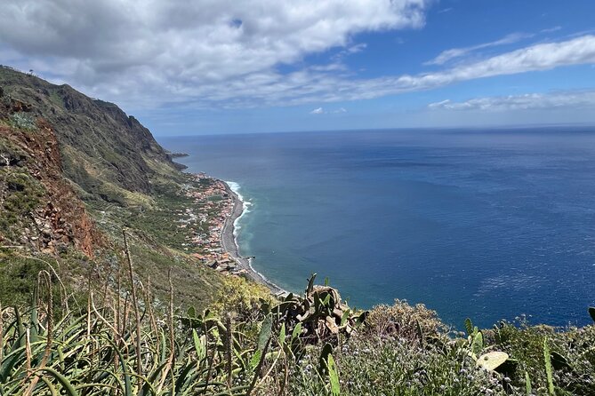 Madeira surprise tour - Fanal’s ancient trees and quiet mood