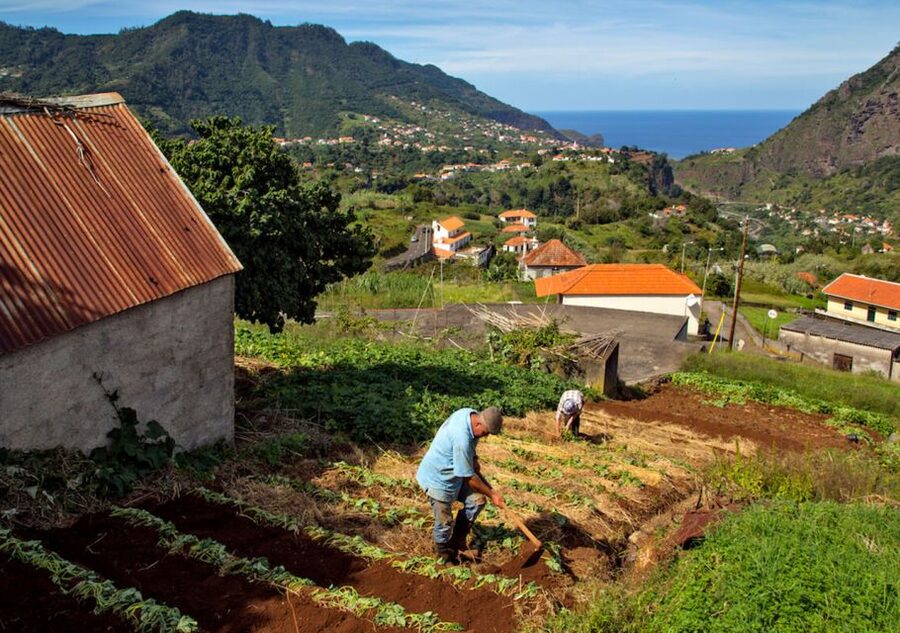 Madeira: The Best of South Jeep Tour - Reaching Ponta do Pargo, Madeira’s western tip