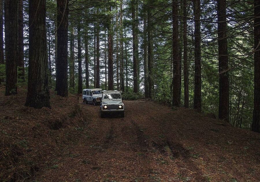Madeira: The Enchanting North - Faial and the mountain roads