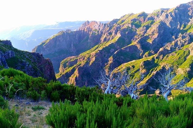 Madeira Top Sunrise - Why this Madeira sunrise hike is special